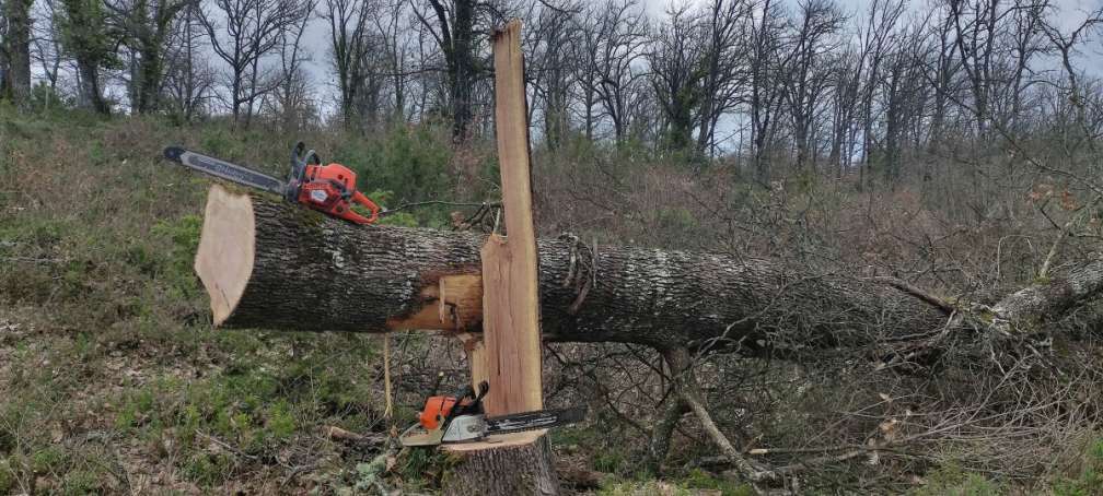 Σύλληψη Αλβανός στη Μέρτζιανη για εκκρεμές ένταλμα σύλληψης